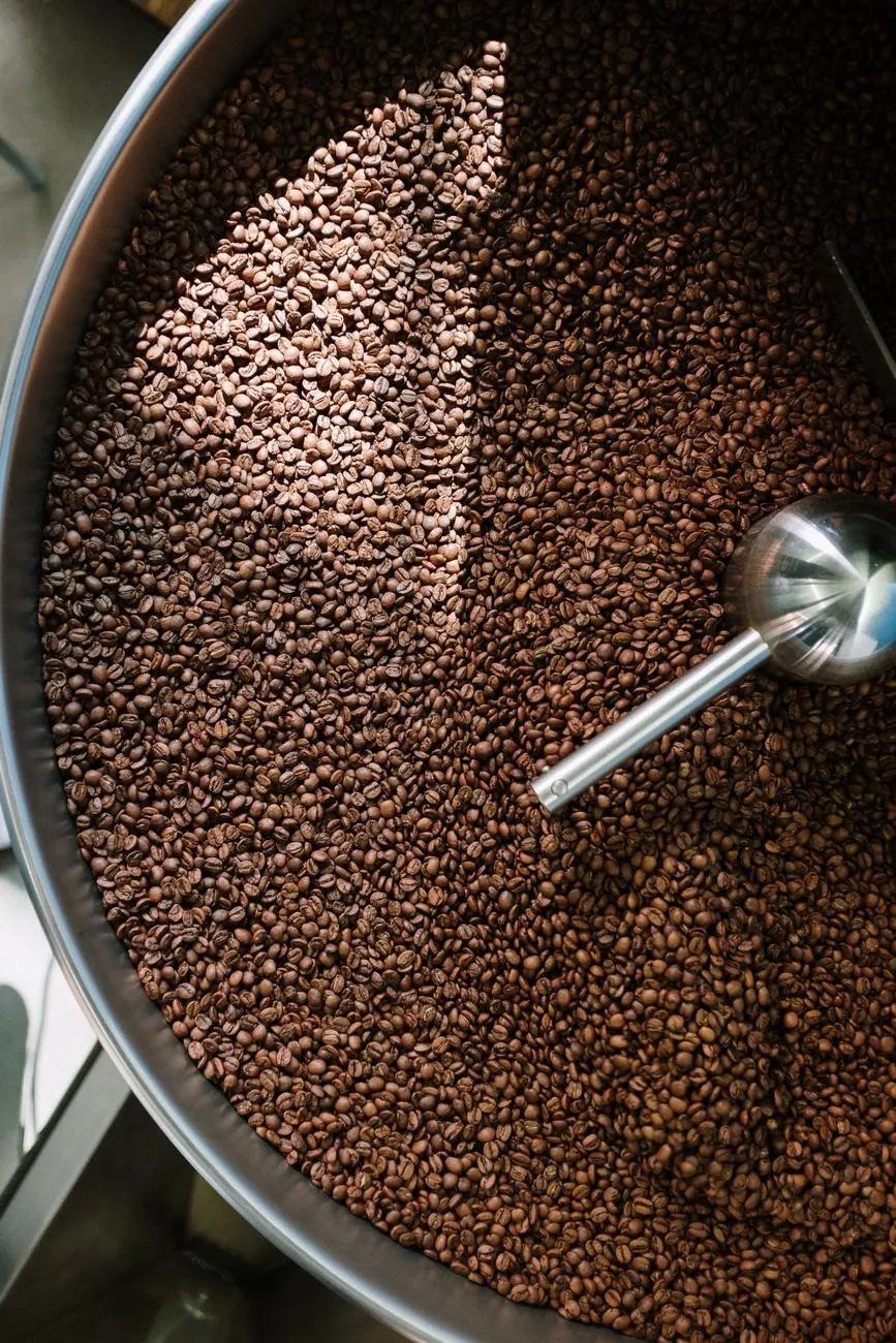 Roasted beans in the cooling tray from above