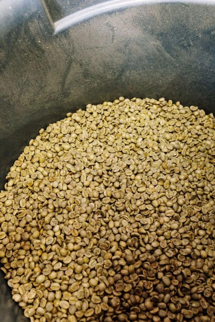 Samples from farms and washing stations we buy from year after year, tasted blind before a sack is ordered.