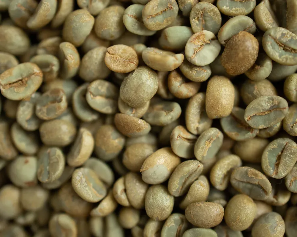 Coffee at the charge stage of the roast, 0:00 from charge