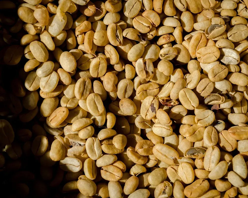Coffee at the turning point stage of the roast, 1:38 from charge