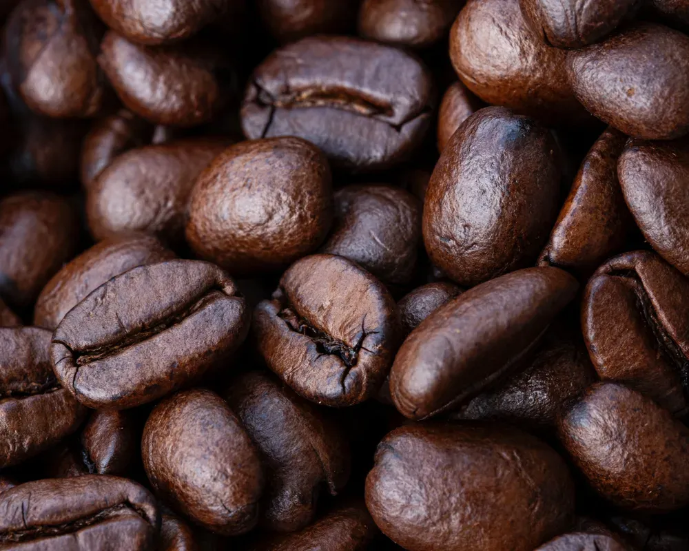 Coffee at the first crack stage of the roast, 8:36 from charge