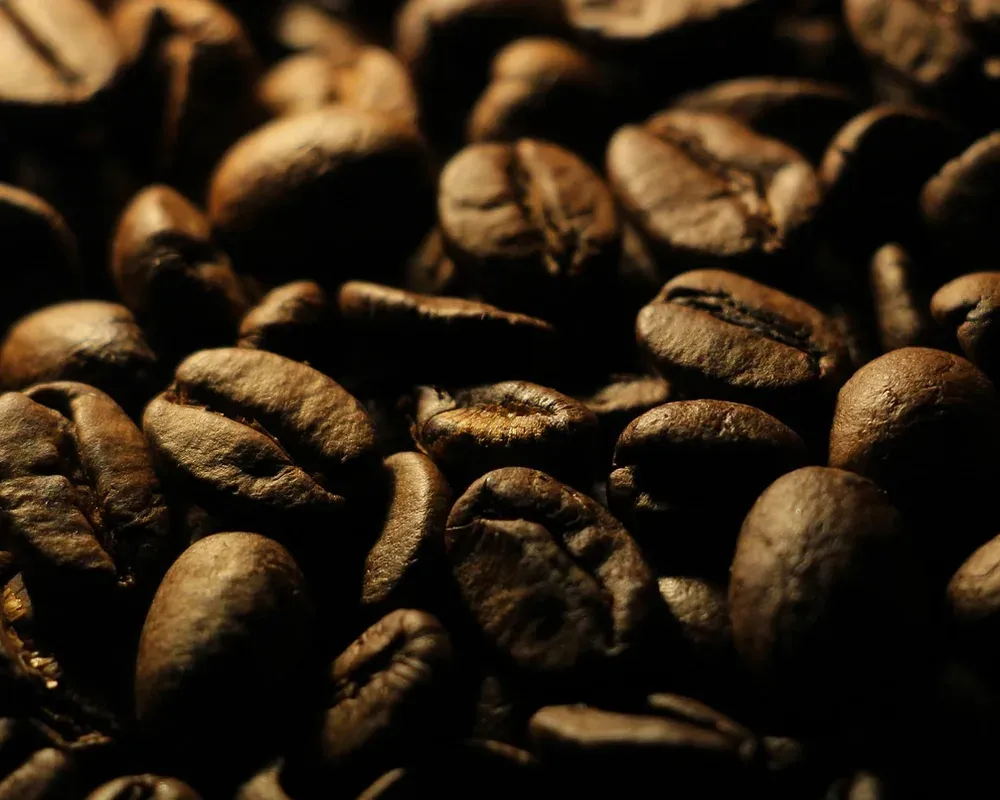 Coffee at the development stage of the roast, 9:30 from charge
