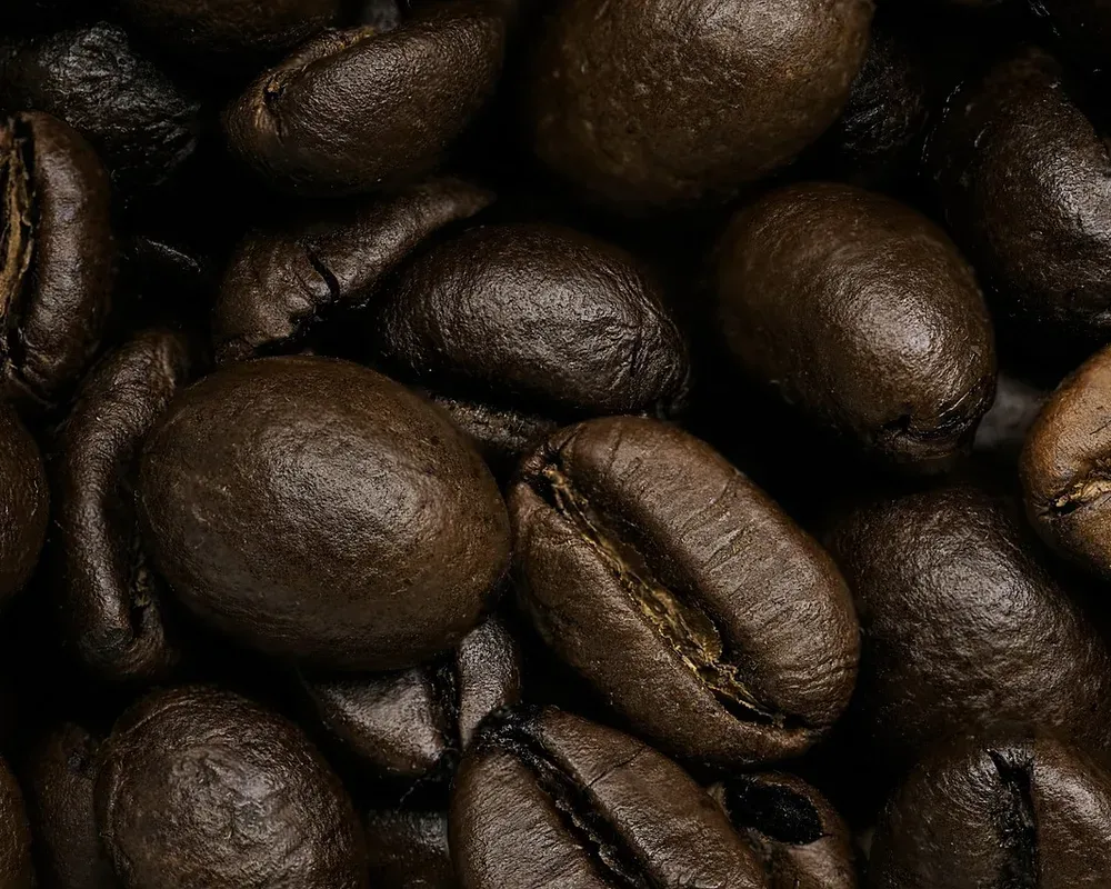 The same photograph shipped ungraded, as the control